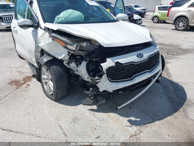 2019 KIA SPORTAGE LX VIN: KNDPM3AC6K7561486