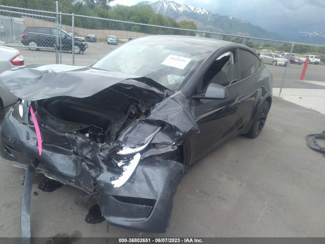 5YJYGDEE9MF258521 Tesla Model Y Long Range