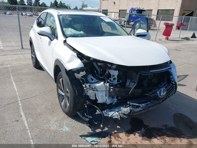 JTJGJRDZ1M5013984 Lexus Nx Nx 300h