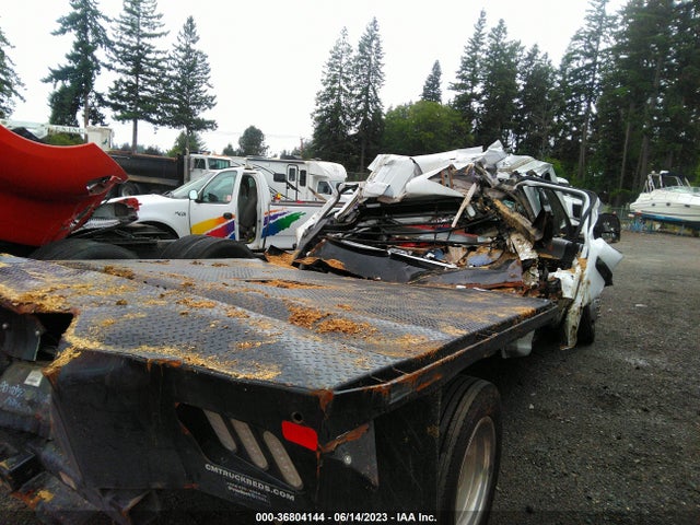 2020 Ford F-450, VIN: 1FD0W4HT7LEC94486