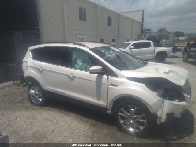 1FMCU0GX3EUA69068 Ford ESCAPE SE