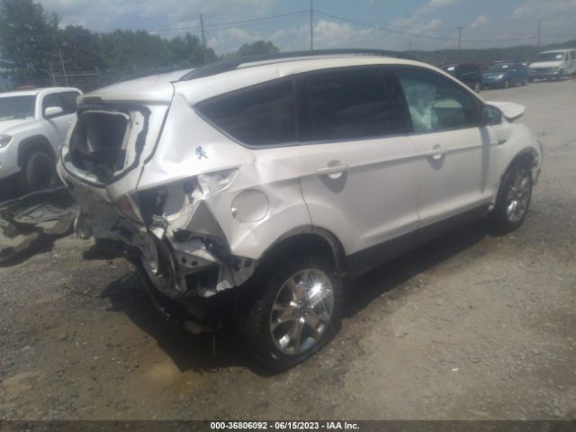 1FMCU0GX3EUA69068 Ford ESCAPE SE