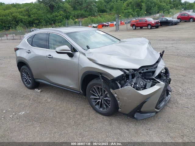 2022 Lexus NX, VIN: 2T2GDCEZ2NC002420