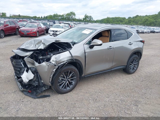 2022 Lexus NX, VIN: 2T2GDCEZ2NC002420