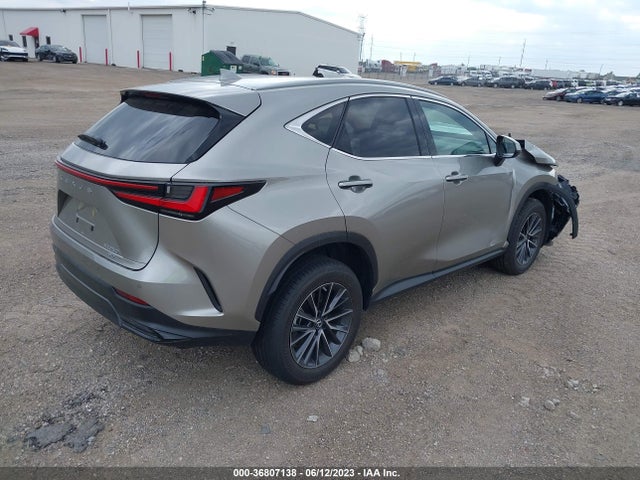 2022 Lexus NX, VIN: 2T2GDCEZ2NC002420