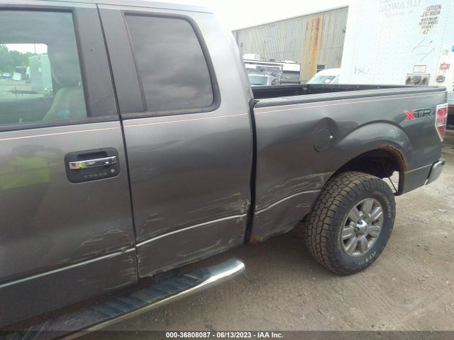 2010 FORD F-150 XLT VIN: 1FTEX1E89AFA46639