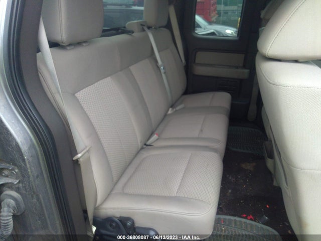 2010 FORD F-150 XLT VIN: 1FTEX1E89AFA46639