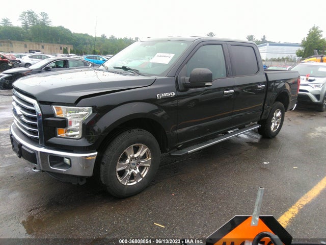 2015 FORD F-150 XLT VIN: 1FTEW1EF6FFB11035