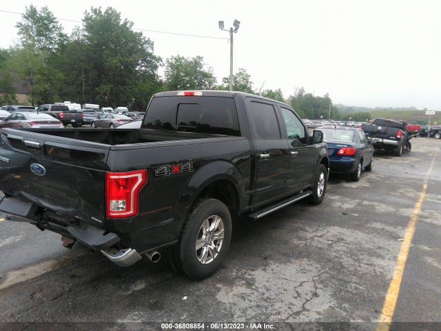 2015 FORD F-150 XLT VIN: 1FTEW1EF6FFB11035