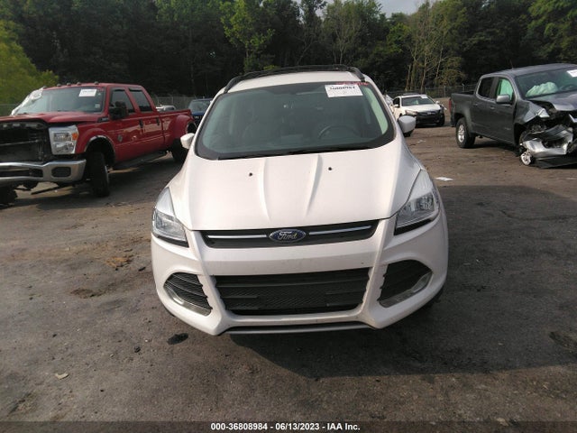 2014 FORD ESCAPE SE VIN: 1FMCU0G91EUD70293