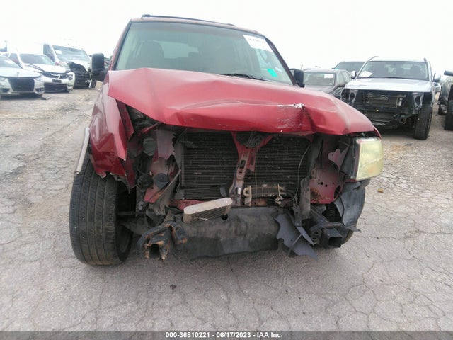 2004 FORD EXPEDITION EDDIE BAUER VIN: 1FMRU17W04LA99172