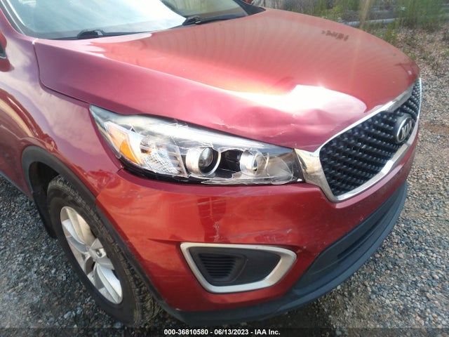 KIA SORENTO LX 2016 5XYPG4A51GG157505 Image 12