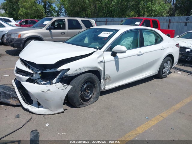 Toyota CAMRY 2020 4T1L31AK4LU015880 Image 2