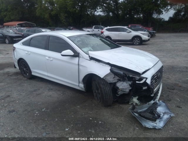 2019 5NPE24AF6KH786368 main image