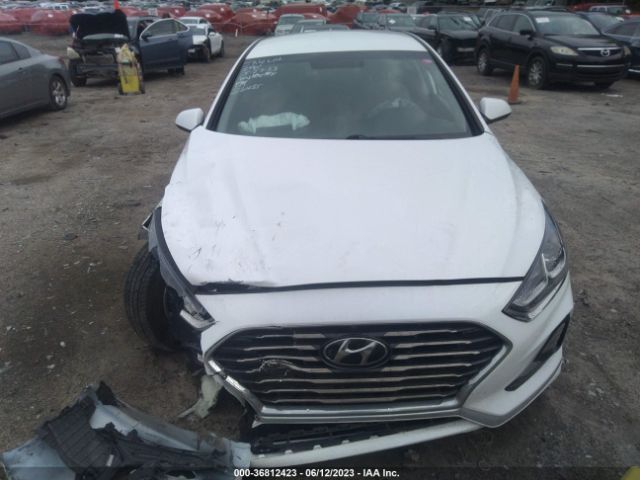 Hyundai SONATA SE 2019 5NPE24AF6KH786368 Image 4