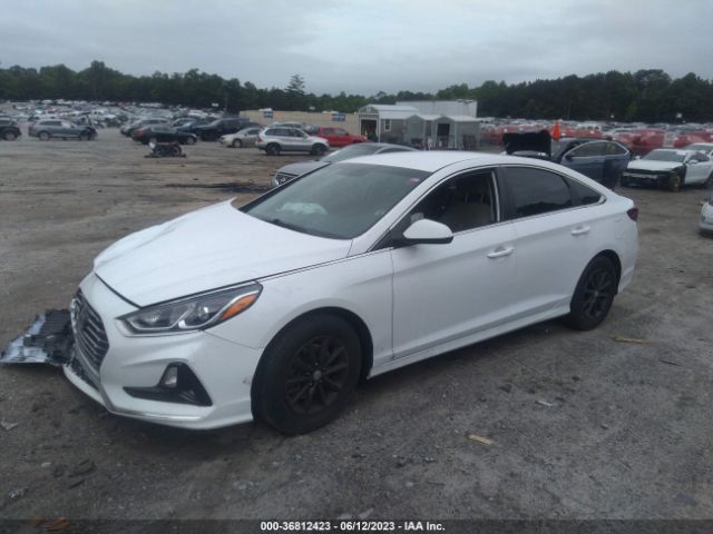 Hyundai SONATA SE 2019 5NPE24AF6KH786368 Image 2