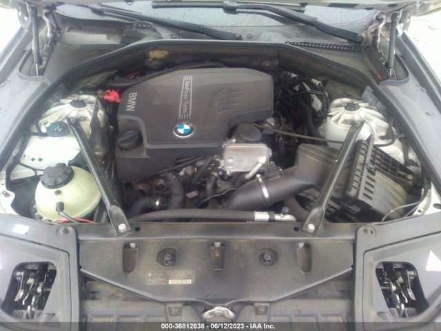 2013 BMW 5 SERIES 528I VIN: WBAXG5C52DD231881