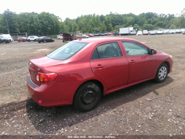 2010 TOYOTA COROLLA VIN: 2T1BU4EE7AC244065