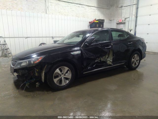 KNAGM4AD5F5089097 KIA OPTIMA HYBRID