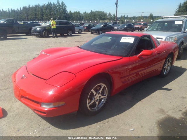 2002 CHEVROLET CORVETTE VIN: 1G1YY22G125114573