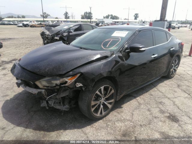 1N4AA6AP7HC362164 Nissan MAXIMA SV