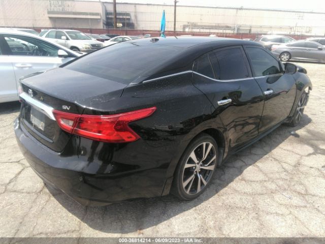 1N4AA6AP7HC362164 Nissan MAXIMA SV