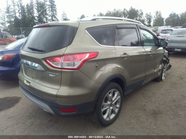 1FMCU9JX7EUA22882 Ford Escape Titanium