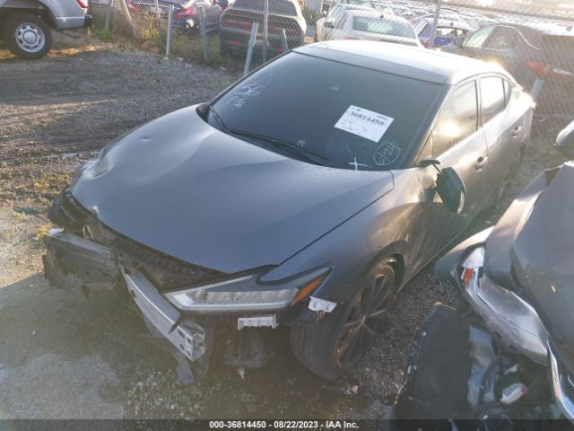 1N4AA6AV4KC384595 Nissan Maxima Sr