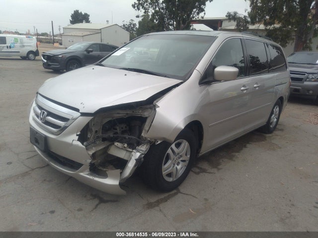 2007 HONDA ODYSSEY EXL VIN: 5FNRL387X7B114343