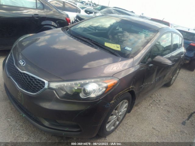 KNAFX5A81E5172603 KIA Forte 5-door Ex