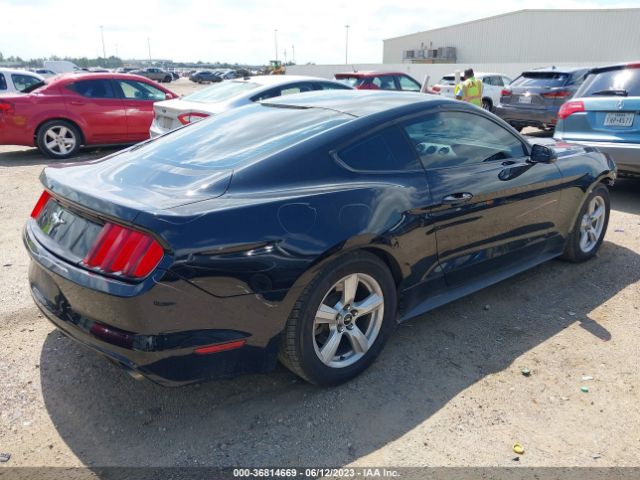 1FA6P8AM4G5283852 Ford Mustang V6