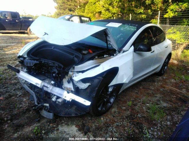 Tesla Model 3 Range 2019 5YJ3E1EA9KF402979 Image 2