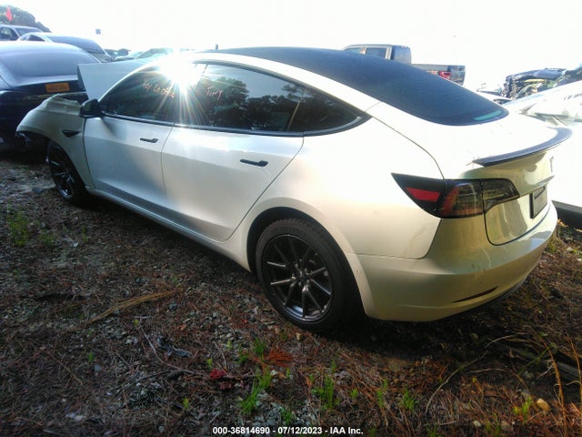 Tesla Model 3 Range 2019 5YJ3E1EA9KF402979 Image 3