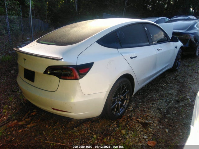 Tesla Model 3 Range 2019 5YJ3E1EA9KF402979 Image 4