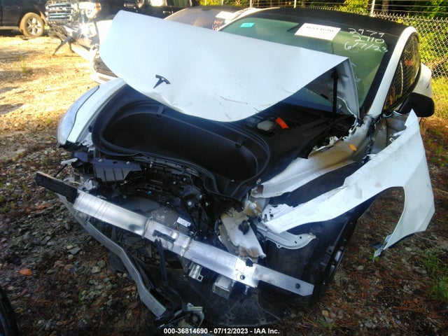 Tesla Model 3 Range 2019 5YJ3E1EA9KF402979 Image 6