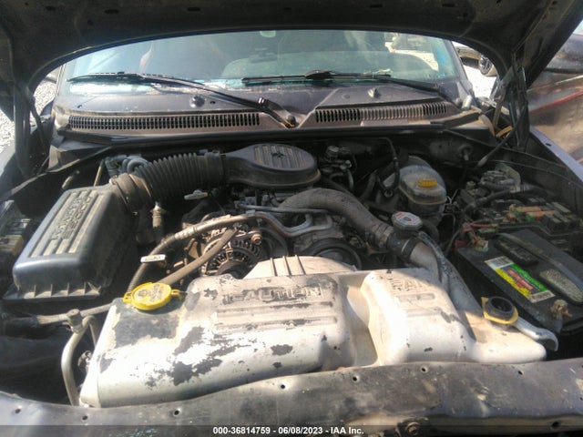 2000 DODGE DAKOTA BASE/SPORT/SLT VIN: 1B7GL22X7YS732802