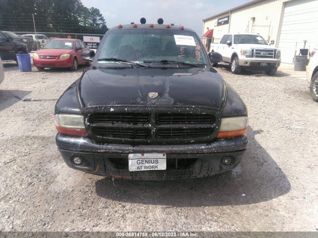 2000 DODGE DAKOTA BASE/SPORT/SLT VIN: 1B7GL22X7YS732802