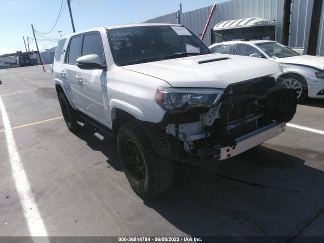 2019 JTEBU5JR1K5683366 main image