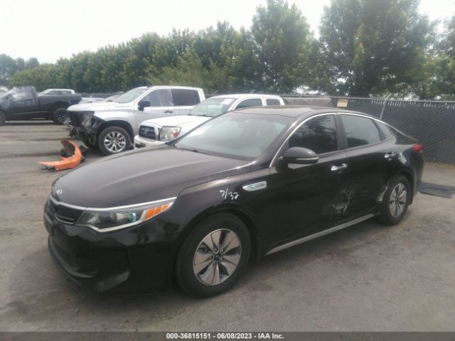 KNAGT4LE3H5012482 KIA Optima Hybrid Base