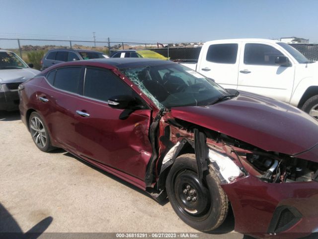 1N4AA6AV4KC378196 Nissan MAXIMA SL