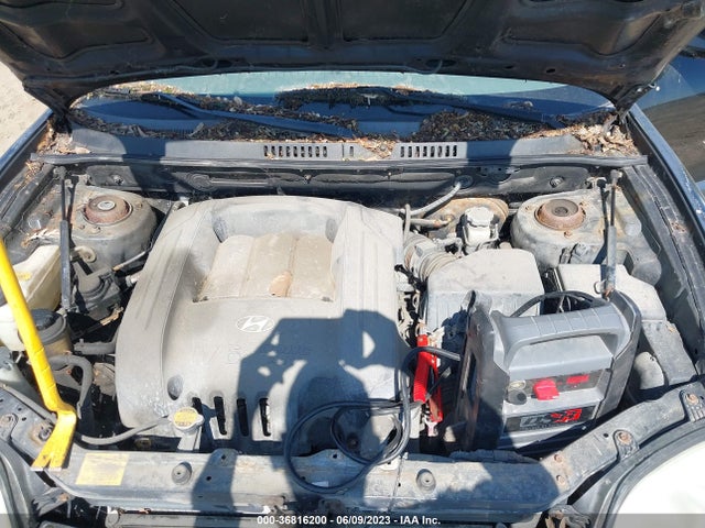 2003 HYUNDAI SANTA FE GLS/LX VIN: KM8SC13D73U526476