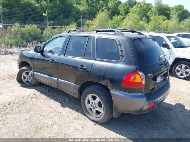 2003 HYUNDAI SANTA FE GLS/LX VIN: KM8SC13D73U526476