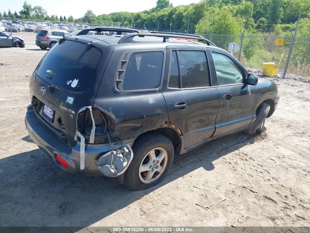 2003 HYUNDAI SANTA FE GLS/LX VIN: KM8SC13D73U526476