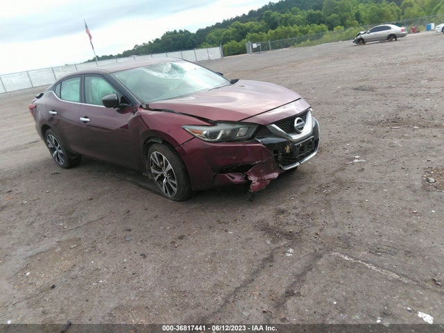 Nissan Maxima 3.5 Platinum/3.5 S/3.5 Sl/3.5 Sr/3.5 Sv 2016 1N4AA6AP6GC440576 главное изображение