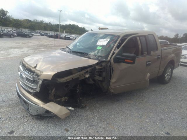 1FTFW1CF8EFB43961 Ford F-150 Xl/stx/xlt/fx2/lariat