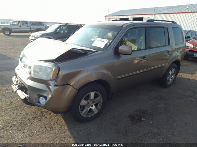 2010 HONDA PILOT EX-L VIN: 5FNYF4H67AB039690