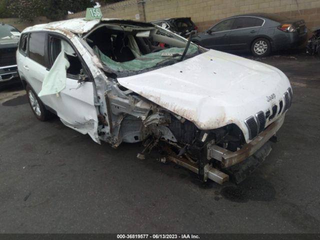 1C4PJLCB8MD116345 auction archive image
