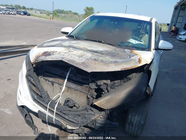 Hyundai TUCSON SE 2018 KM8J23A41JU702819 Image 11
