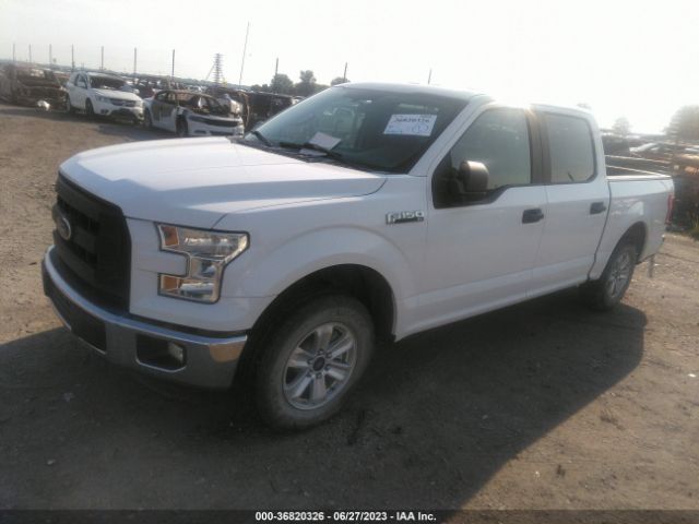 1FTEW1C81GKF34408 Ford F-150 Xl