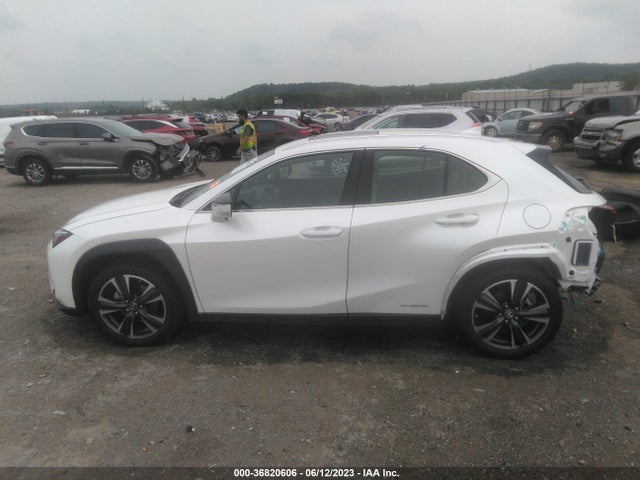 2020 Lexus UX, VIN: JTHL9JBH1L2025797